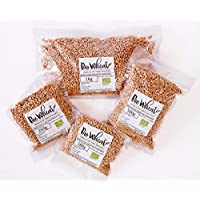 Semillas de trigo ecológicas para germinar (1Kg)